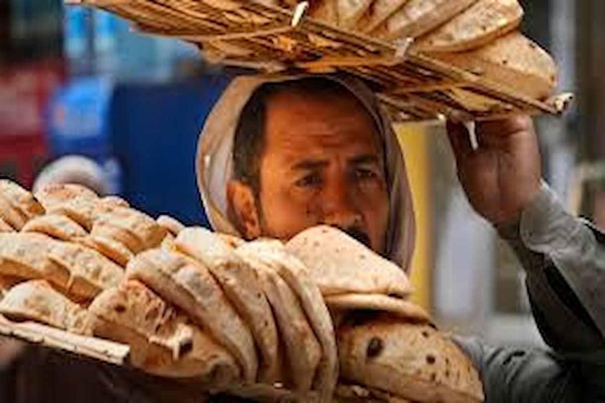 Egypt demands preferential treatment for wheat imports