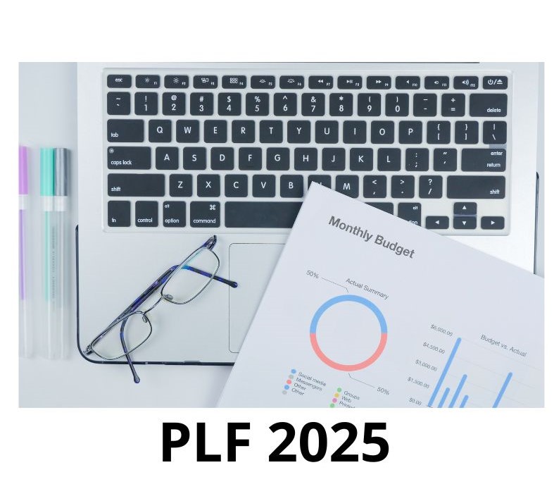 PLF 2025 Déficit budgétaire, emprunts internes et nouvelles