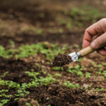 Les agriculteurs peuvent contacter les services techniques de l'Union, le commissariat régional au développement agricole (CRDA) ou les cellules de vulgarisation agricole dans toutes les délégations pour plus d'informations, lit-on de même source.