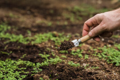 Les agriculteurs peuvent contacter les services techniques de l'Union, le commissariat régional au développement agricole (CRDA) ou les cellules de vulgarisation agricole dans toutes les délégations pour plus d'informations, lit-on de même source.
